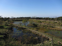 제주도한라생태숲 Jeju Island, Halla Eco-Forest