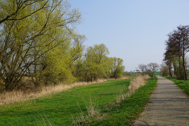 Der Rundweg