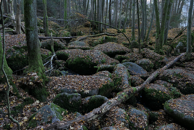 Im Naturschutzgebiet "Die Hölle"