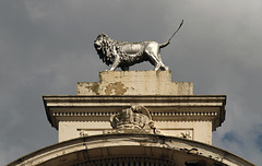 The Kings' lion