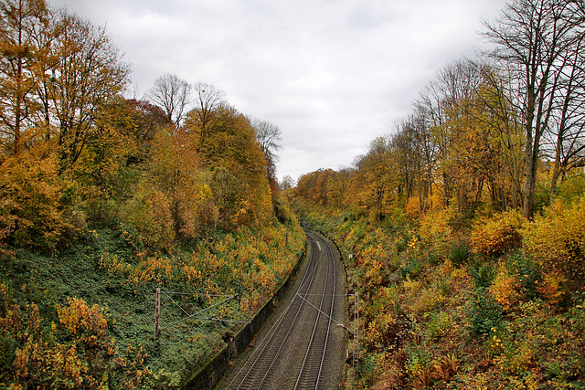 Einschnitt der Bergisch-Märkischen Bahnstrecke bei Haus Martfeld (Schwelm) / 31.10.2021