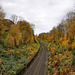 Einschnitt der Bergisch-Märkischen Bahnstrecke bei Haus Martfeld (Schwelm) / 31.10.2021