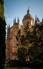 Salamanque Salamanque