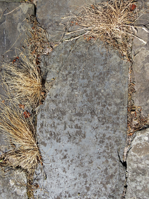 revelstoke church, devon