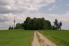 Thiersheim Wartberg