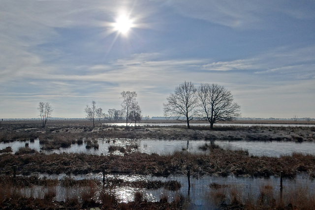 Bargerveen