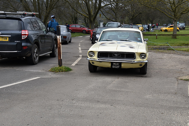 phrmmar312024 (1293)