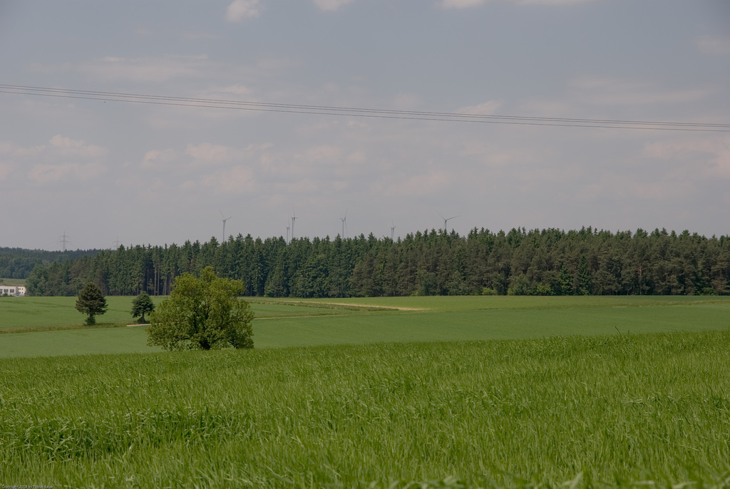 Thiersheim Wartberg