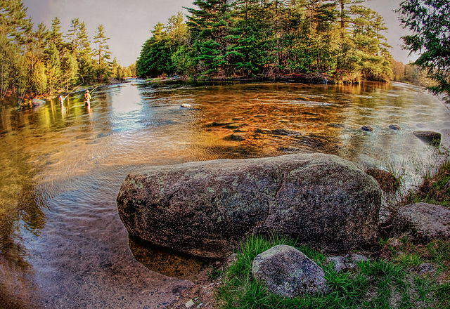 Fly Fishing in Maine