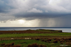 Fences, Sheep and a Storm!