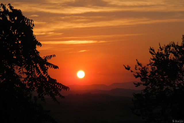 Sonnenuntergang im Parco dei Pini (© Buelipix)