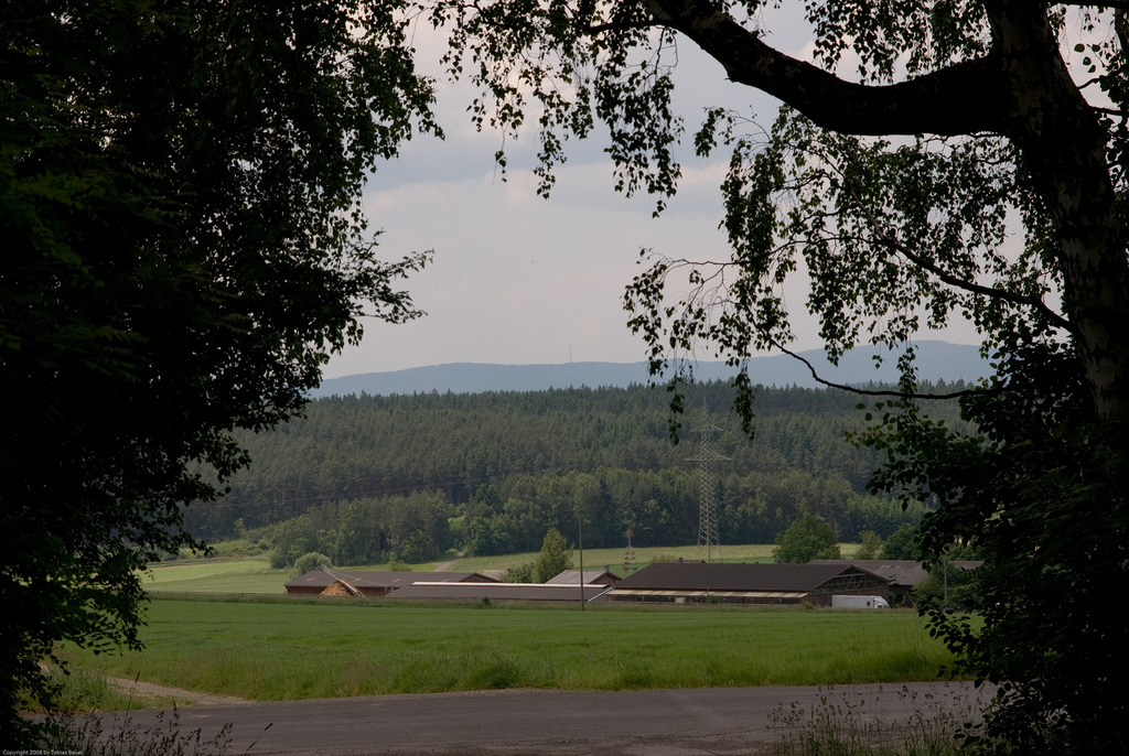 Thiersheim Wartberg