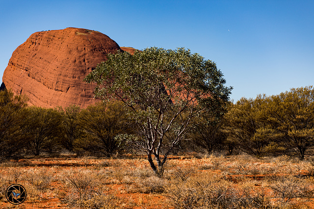 Kata Tjuṯa (the Olgas)