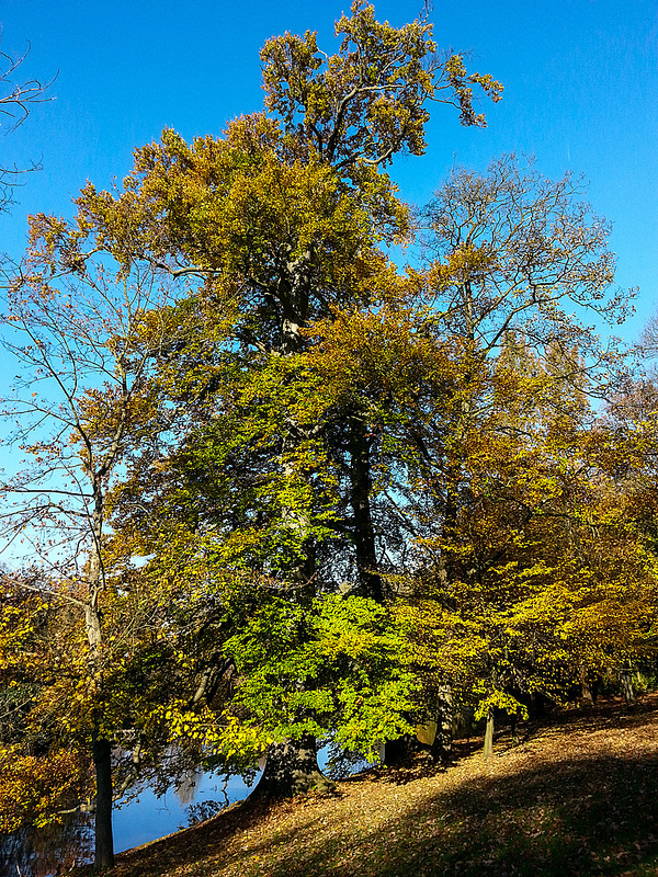 20141107 1149Hw [D~SHG] Weser, Rinteln
