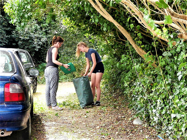 How lucky am I? They are clearing my driveway