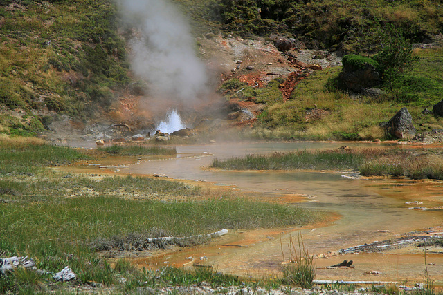 Blood Geyser