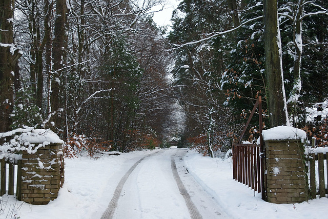 Muriston In The Snow