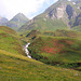Alpenrosen am Valser Bach  (Pic-in-Pic)