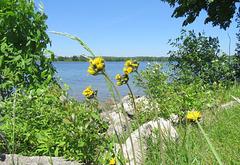 Beginning of summer at the lake.