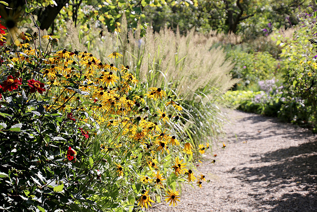 Blumen am Weg ...
