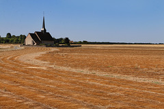 En Normandie , un champ de lin séchant au soleil . En Normandie , un champ de lin séchant au soleil .