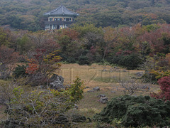 제주도1100고지 Jeju Island, 1100m highland