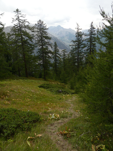 20220828 -11 Ubaye (Alpes de Haute Provence) (620)