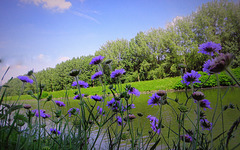 beside the channel beside the channel