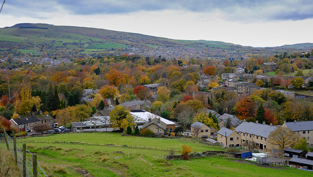 Old Glossop: Autumn Tree colours