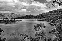 The lovely Loch Moidart