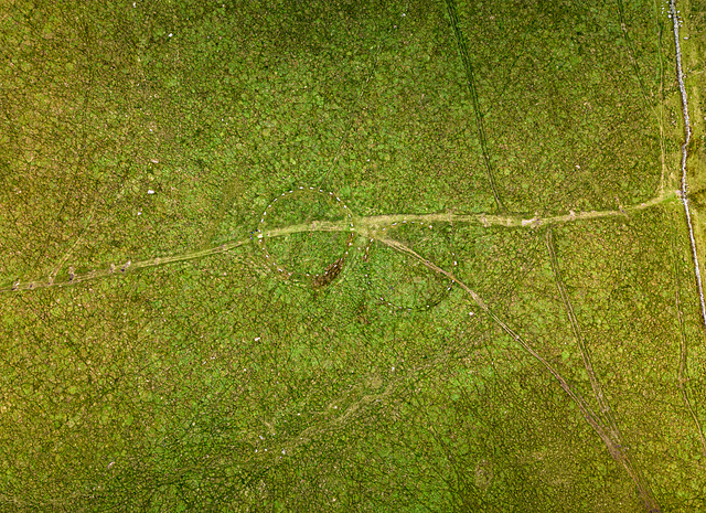 Grey Weters Stone Circles - 20230809-DJI 0699-HDR-Pano-2