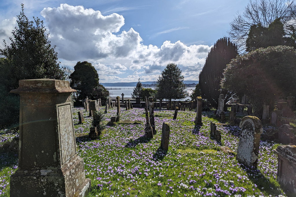 Rhu Churchyard In Spring