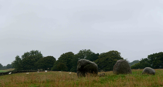 Torhouse Stone Circle