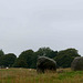 Torhouse Stone Circle