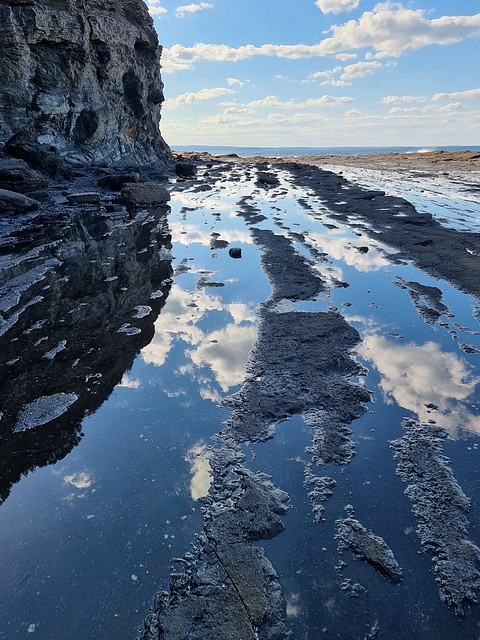 Looking north on the rock shelf at Warden Headland