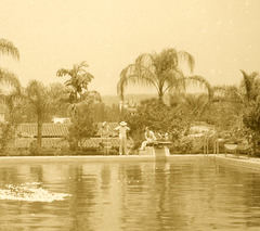 Gardenia Swimming Pool, Hotel Ruiz Galindo, Fortín, Veracruz, Mexico (Detail Right)