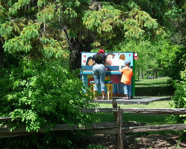 sonate pour les arbres / sonata for the trees