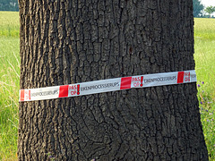 warning for health-damage caused by Oakprocession caterpillars
