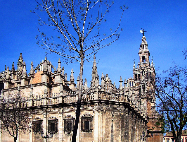 ES - Sevilla - View of Cathedral and Giralda