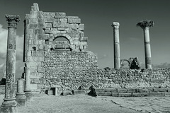 Ruines de Volubilis