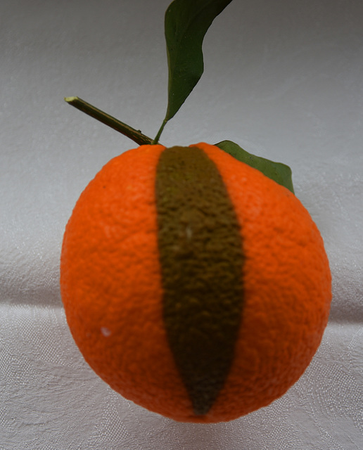Orange gestreift