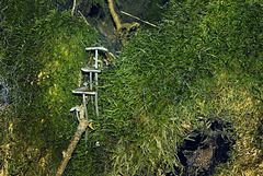 Optimisation de l'espace. Optimisation de l'espace.