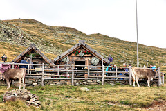 Schusterhütterl - Ultental (2PIP) - eine beliebte Jausenstation