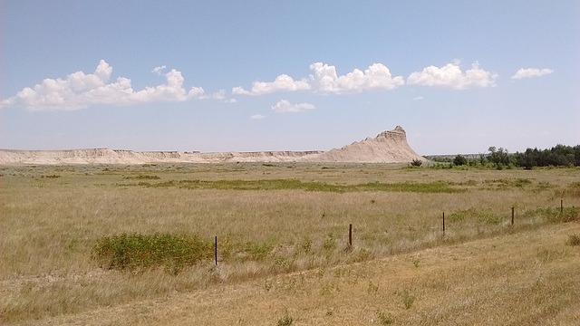 Clôture du désert / Desert fence