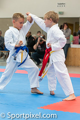 kj-karate-414 15612264930 o