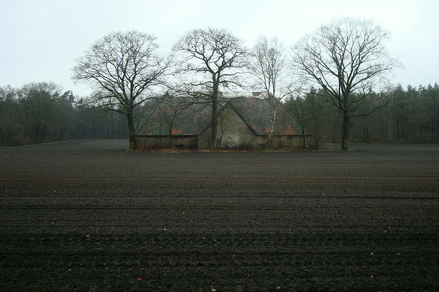 Grey barn, back side (2015)
