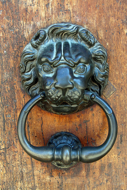 Heurtoir tête de lion à Aix-en-Provence .