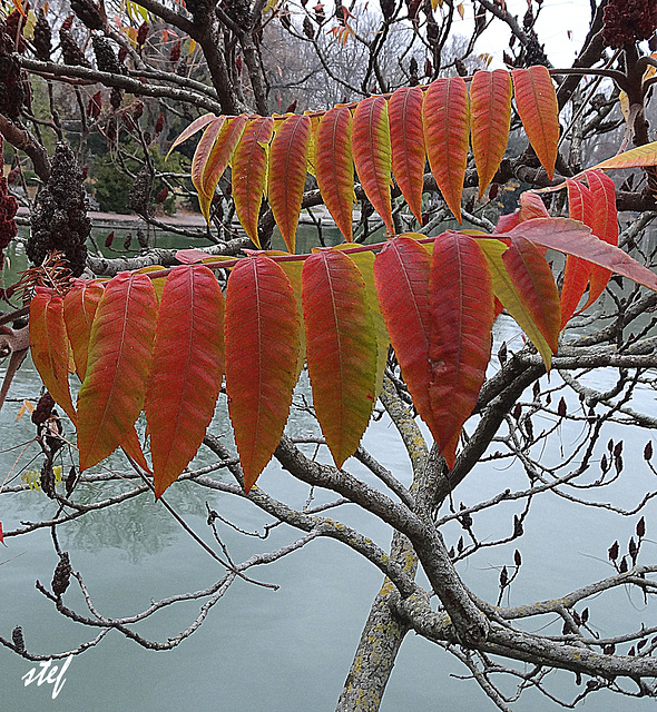 Herbstfarben