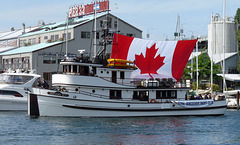 'Midnight Sun' Passing Granville Island