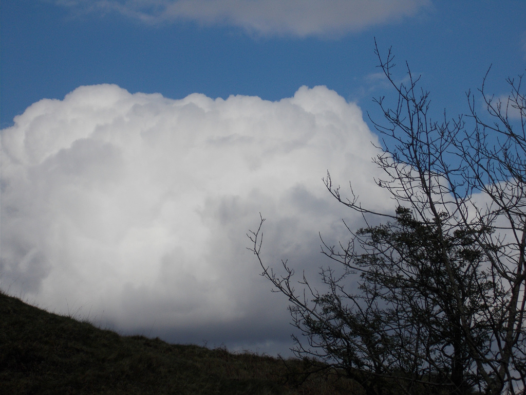 wcl - clouds building